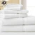 Import Wholesale Hotel Supplies 100% Cotton Hotel Bath Towel For 5 Star Hotel from China