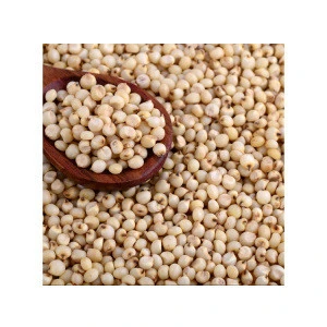 Wholesale Natural Organic White Quinoa Grains at Competitive Price