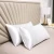 Import Wholesale Sell Best Five-star Hotel Textilenew 100% Cotton Pillowcases Soft Satin PillowCase  Pillow Case from China
