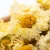 Import Yellow Chrysanthemum Flower Tea for Health from China