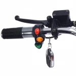 Yeslaud 1500W electric scooter 60V 12ah motorcycles removable battery Citycoco with key