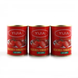 YIJIA Different tomato sauce70g -4500g tomato factory ketchup