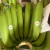 Import You Should Choice Hathanh Factory Low Price High Quality Wholesale Fresh Green Bananas Carton Box from Vietnam