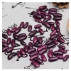 Yunnan red kidney beans for canned high quality long shape purple kidney bean