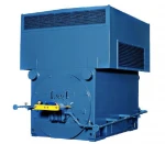 TECO High-voltage motors AC Motor