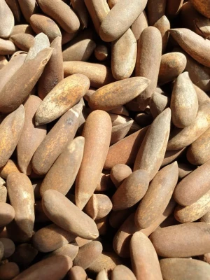 Pine nuts ( jelghoza)