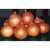 Import onion fresh new corped from China