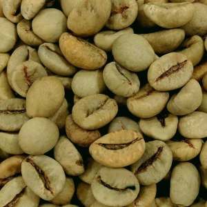 Robusta Coffee Beans for Sale Private Label Coffee Beans OEM Wholesale