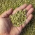 Import Robusta Coffee Beans for Sale Private Label Coffee Beans OEM Wholesale from South Africa