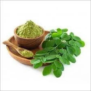 Moringa leaf powder, Moringa oil, Moringa seeds