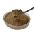 Import High Quality Meat and Bone Meal Poultry Protein Meals Bone and Meat Meal 50% from Tanzania