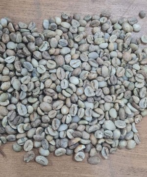 Coffee Beans Indonesia