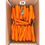 Quality Carrots