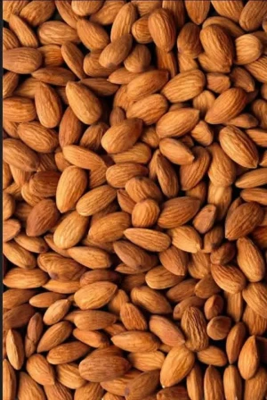 Premium Natural Whole Almonds – Fresh, Crunchy & High-Quality Almond Nuts