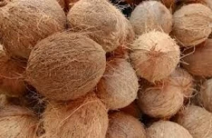 Semi Husk Coconut