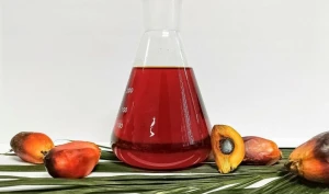 Crude Palm Oil, Refined, Pure Palm Cooking Oil, Affordable Price