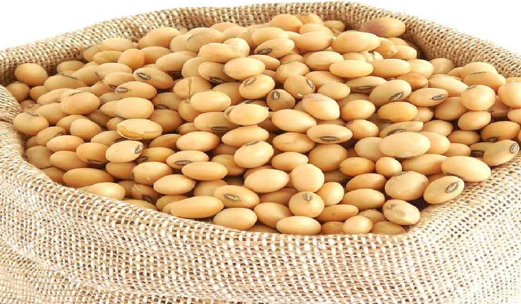 Buy Soya Beans from Cotex, Malaysia