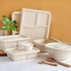 Bagasse Products