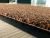Import Non-Slip Cut Pile entrance Mat with PVC Back from China