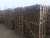 Import Hardwood Charcoal, Firewood, Pellets, Pallets from Serbia