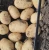 Import Potato Farming with High Quality and Good Price from South Africa