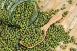 Buy Moong Beans Online from a Trusted International Supplier