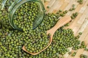Buy Moong Beans Online from a Trusted International Supplier