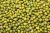 Import Buy Moong Beans Online from a Trusted International Supplier from Philippines