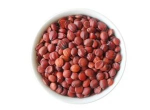 Jujube kernel