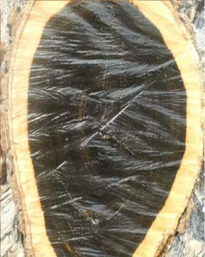 Ebony Black wood