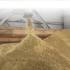 Bulk Soybean Meal for Animal Feed | High-Protein Livestock Nutrition