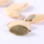 raw pumpkin seeds shine shell