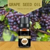 Carrier oil Pure essential oil grape seed oil food grade cosmetica raw material