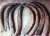 Import We sell Buffalo Horn, Cow tail hair from Spain
