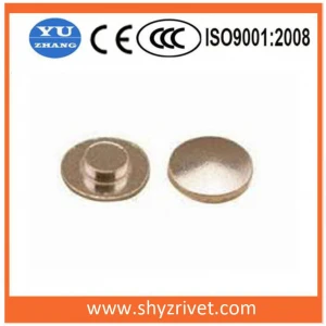 electrical contact rivet for the relay