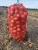 Import Fresh Onions from Belarus