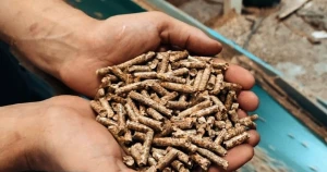 Wood Pellets