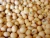 Import High Quality Non-GMO Yellow Dry Soybean Seeds Bulk 25kg from Germany