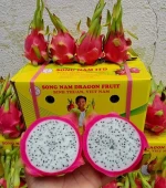 Song Nam dragon fruit