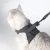 Import Escape Proof Cat Walking Jackets with Retractable Leash from China