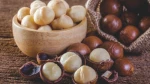 Beaumont Macadamia Nuts (Shell On/Shell Off)