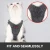 Import Escape Proof Cat Walking Jackets with Retractable Leash from China