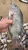 Import Seafood from United Kingdom