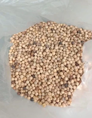 White Pepper