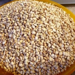 Buy Processed Foods from Greenlights, USA | Tradewheel.com