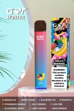 Best Selling Disposable Vape GST Hunter With OEM Services.
