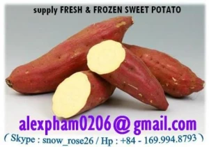 Sweet Potato, Batata, Pumpkin, Purple Yam, Taro, Okra, Bitter Gourd, Eggplant_whatsapp 84399948793