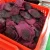 Import Wholesale Price Dried Dragon Fruit ( Pitaya) NO Added Sugar - FruitBuys Vietnam from Vietnam