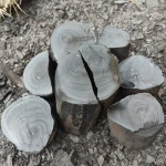 HALABAN CHARCOAL