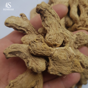 Dry Whole Ginger From Vietnam